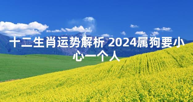 十二生肖运势解析 2024属狗要小心一个人